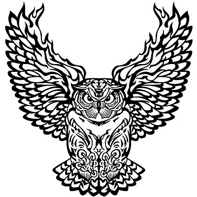 EPS 해외이미지 동물 시선 일러스트 조류 불 불꽃 흑백 먹이 신비 문신 사냥 육식동물 부엉이 연소 마스코트 발톱 웅장함 해외202008 해외일러스트 자연요소 컨셉 발 촬영기법 파일형식 벡터