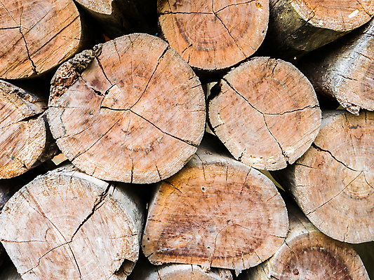 포토 JPG 해외이미지 나무 아이콘 디자인 외관 벽 백그라운드 패턴 오렌지 자연 벽지 추상 벽돌 돌담 사람없음 내부 목재 빨간색 빛 울타리 갈색 블록 수확 바위 얼룩 거친 수리 건축가 큼 천 그림 질감 시멘트 내추럴 고체 스타일링 어려움 옛날 스타일 해외202008 해외포토 식물 직업 컬러 무늬 농업 과일 재료 담장 돌_바위 직물 크기 생태계 파일형식