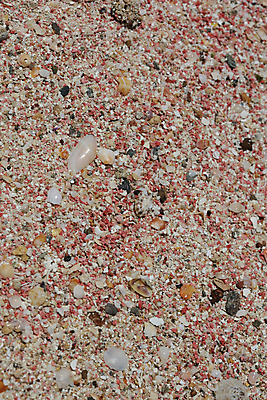 포토 JPG 해외이미지 모래 파도 바다 섬 여행 우산 자연 하늘 휴가 풍경 사람없음 야외 빨간색 물 여름 파란색 태양 맑음 침묵 자유 전원 만 휴양지 석호 완벽 이국적 터키석 파라다이스 수평선 해외202008 해외포토 자연요소 계절 컬러 컨셉 날씨 소리 장소 전기에너지 보석 생태계 파일형식