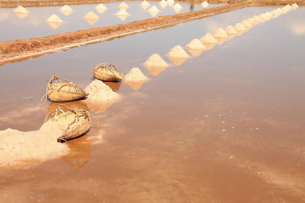 포토 JPG 해외이미지 아시아 자연 풍경 사람없음 야외 반사 캄보디아 열대기후 해외202008 해외포토 나라 생태계 파일형식