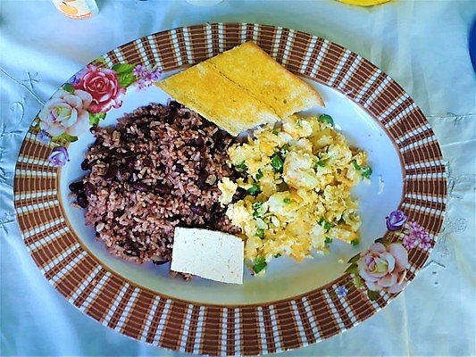 포토 JPG 해외이미지 접시 커피 음료 음식 섬 백그라운드 탁자 밥 호텔 아침 콩 옥수수 사람없음 컵 식당 계란 검은색 어둠 카페 흰색 신선 뜨거움 아침식사 콜롬비아 낟알 햄 아로마 향 에스프레소 점심식사 모카 카페인 코스타리카 해외202008 해외포토 주간 식기 컬러 가구 숙소 곡류 육류 상점 알 식사 남아메리카 중앙아메리카 파일형식