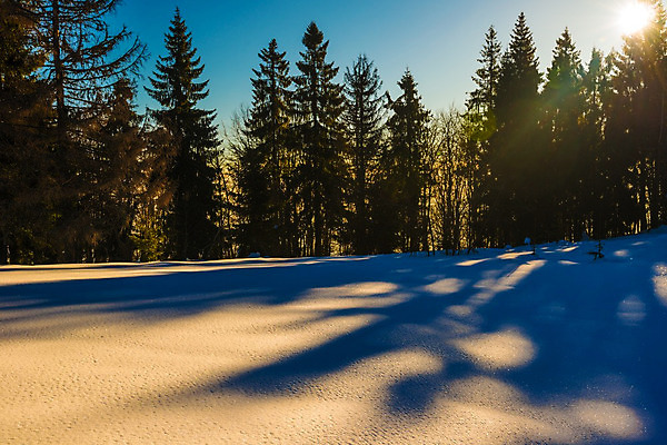 포토 JPG 해외이미지 나무 구름 유럽 여행 겨울 자연 하늘 휴가 스키 산 파노라마 풍경 사람없음 야외 파란색 태양 일출 맑음 냉동 얼음 새벽 트래킹 하이킹 추위 성장 흰색 소나무 숲 언덕 서리 북쪽 슬로프 산악지대 웅장함 절정 폭설 눈내림 가문비나무 해외202008 해외포토 자연요소 식물 계절 나라 컬러 레저 날씨 겨울스포츠 스키장 눈_날씨 촬영기법 노을 자연재해 방향 생태계 파일형식