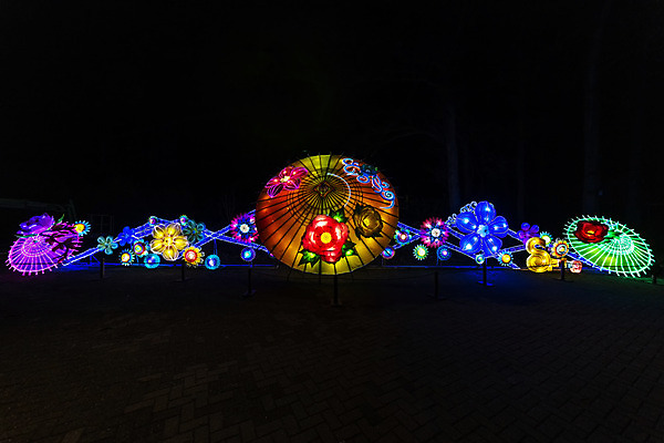 포토 JPG 해외이미지 아이콘 디자인 계절 꽃 종교 나비 백그라운드 컨셉 꽃무늬 패턴 일러스트 자연 추상 휴가 미술 사람없음 그래픽 장식 빨간색 초록색 파란색 빛 컬러풀 우주 검은색 축제 축하 원형 야간 연도 심볼 오브젝트 질감 공상 엘리먼트 여의주 스타일 해외202008 해외포토 자연요소 도형 식물 컬러 곤충 무늬 문화예술 생태계 파일형식