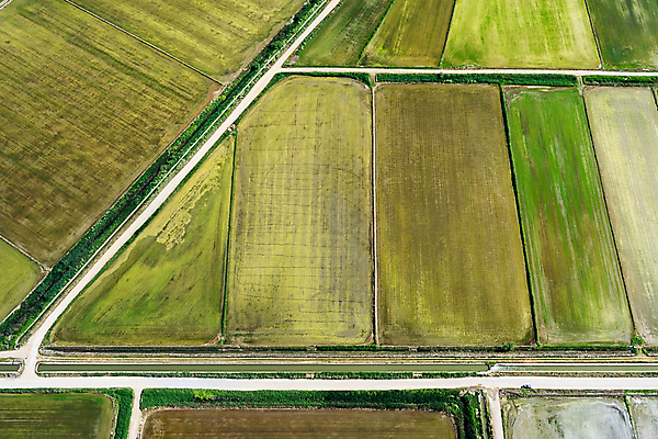 포토 JPG 해외이미지 식물 전통 지구 음식 농업 자연 밥 안테나 풍경 사람없음 야외 초록색 물 파란색 농작물 컬러풀 농장 농경지 계곡 수확 안개 시골 정상 가난 땅 시리얼 층 내추럴 산악지대 논밭 땅바닥 밭일 생태학 심기 판잣집 해외202008 해외포토 자연요소 교육 산업 컬러 컨셉 밭 통신 모션 날씨 산 바닥 주택 논 생태계 파일형식