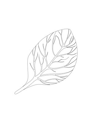 EPS 해외이미지 식물 손 디자인 선 음식 백그라운드 잎 농업 다이어트 채소 일러스트 재료 자연 건강 요리 미술 그래픽 초록색 세트 주방 정원 검은색 샐러드 흰색 신선 양념 시장 허브 심볼 향신료 오브젝트 그림 유기농 날것 윤곽 시금치 판화 내추럴 고립 엘리먼트 채식주의자 해외202008 해외일러스트 웰빙 산업 컬러 문화예술 신체부위 생태계 채식 향미료 파일형식 벡터