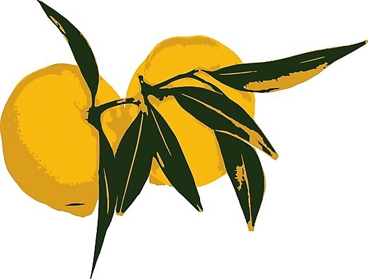 EPS 해외이미지 음식 조각 백그라운드 잎 다이어트 오렌지 과일 일러스트 재료 부분 자연 디저트 귤 건강 초록색 여름 노란색 주스 흰색 신선 원형 그룹 달콤 맛 정상 피부 오브젝트 유기농 날것 비타민 내추럴 고립 숙성 채식주의자 해외202008 깎기 해외일러스트 도형 식물 웰빙 계절 음료 컬러 컨셉 모션 신체부위 생태계 채식 영양소 파일형식 벡터