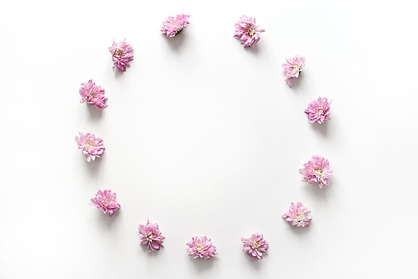 포토 JPG 해외이미지 모양 디자인 기념일 꽃잎 꽃 분홍색 결혼 백그라운드 잎 꽃무늬 패턴 자연 휴가 프레임 사랑 사람없음 장식 장미 노란색 화환 봄 낭만 수확 벚꽃 흰색 나뭇가지 축하 인사 원형 신용카드 생일 개화 플랫 정상 질감 복고 열정 위치 내추럴 고립 해외202008 해외포토 도형 나무 식물 계절 감정 컬러 컨셉 무늬 농업 이벤트 금융 예절 생태계 파일형식