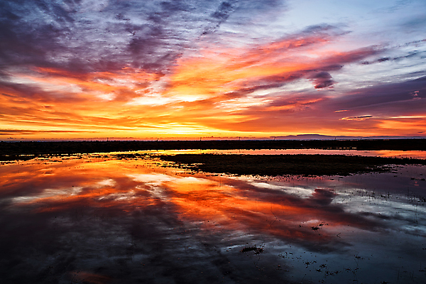 포토 JPG 해외이미지 구름 오렌지 자연 하늘 풍경 사람없음 야외 가로 빨간색 물 빛 햇빛 태양 반사 황혼 일몰 새벽 저녁 천국 웅장함 수평선 해외202008 해외포토 자연요소 컬러 과일 노을 야간 생태계 파일형식