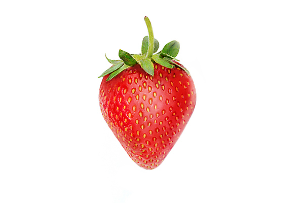 포토 JPG 해외이미지 열매 음식 백그라운드 잎 과일 딸기 디저트 건강 사람없음 빨간색 초록색 활발 흰색 신선 달콤 맛 유기농 내추럴 고립 숙성 맛있는 해외202008 해외포토 식물 웰빙 컬러 컨셉 파일형식