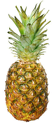 포토 JPG 해외이미지 음식 줄기 잎 오렌지 과일 자연 건강 사람없음 가로 세로 노란색 신선 닫기 달콤 파인애플 싱글 날것 향기 고립 숙성 하와이인 해외202008 해외포토 외국인 식물 컬러 모션 맛 열대과일 생태계 냄새 파일형식