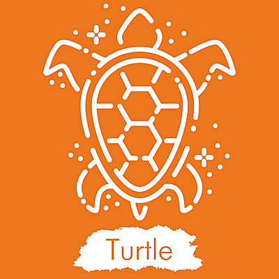 포토 JPG 해외이미지 아이콘 디자인 계절 선 모래 파도 바다 섬 여행 일러스트 휴가 휴식 미술 취미 해변 사람없음 야외 그래픽 수확 뜨거움 화려 거북이 낙서 스케치 심볼 오브젝트 사인 그림 윤곽 고립 엘리먼트 스타일 해외202008 해외포토 컨셉 농업 파충류 문화예술 파일형식