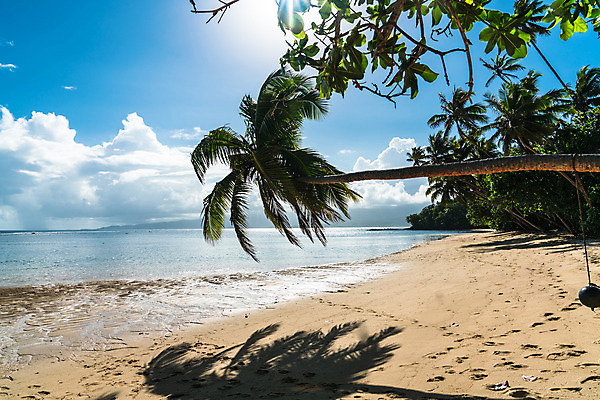 포토 JPG 해외이미지 나무 구름 라이프스타일 모래 바다 섬 여행 백그라운드 자연 하늘 휴가 휴식 손바닥 풍경 사람없음 야외 초록색 물 여름 파란색 컬러풀 태양 맑음 낭만 흰색 휴양지 코코넛 이국적 파라다이스 해외202008 해외포토 자연요소 식물 손 계절 컬러 컨셉 과일 날씨 생활 장소 생태계 파일형식