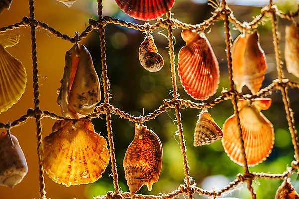 포토 JPG 해외이미지 밧줄 백그라운드 잎 패턴 창문 항해 사람없음 내부 장식 빛 컬러풀 펼침 껍질 그물 네트워크 파편 블러 엘리먼트 안락 해외202008 해외포토 식물 줄 컬러 컨셉 무늬 배_교통 모션 파일형식