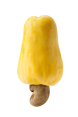 포토 JPG 해외이미지 음식 잎 농업 채소 과일 자연 건강 요리 씨앗 사람없음 야외 빨간색 세로 약 농장 노란색 쌓기 사진촬영 미국 견과류 수확 신선 그룹 시장 사과 농부 다발 브라질 남쪽 내추럴 밭일 숙성 캐슈넛 브라질사람 해외202008 해외포토 식물 직업 산업 컬러 북아메리카 의학 모션 촬영 남아메리카 방향 생태계 파일형식