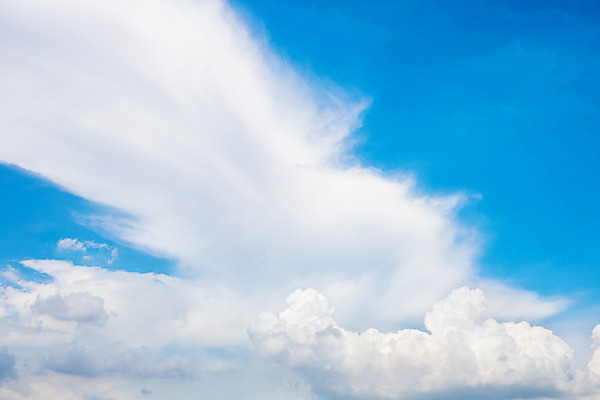 포토 JPG 해외이미지 구름 계절 백그라운드 자연 하늘 바람 날씨 추상 풍경 사람없음 야외 여름 파란색 빛 햇빛 태양 우주 환경 맑음 침묵 봄 자유 흰색 전원 분위기 장면 천국 솜털 흐림 내추럴 오존 해외202008 해외포토 자연요소 컬러 컨셉 무늬 소리 전기에너지 생태계 파일형식