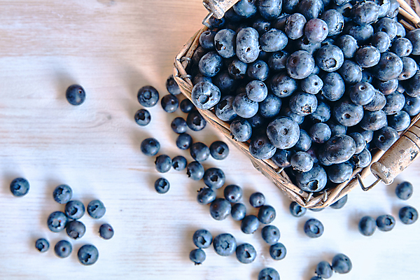 포토 JPG 해외이미지 열매 음식 백그라운드 다이어트 과일 자연 디저트 건강 사람없음 목재 파란색 바구니 봄 신선 달콤 맛 정상 유기농 블루베리 날것 내추럴 숙성 채식주의자 맛있는 해외202008 해외포토 나무 식물 웰빙 계절 컬러 컨셉 재료 생태계 채식 파일형식