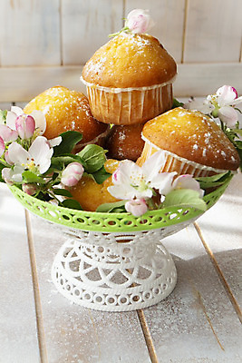 포토 JPG 해외이미지 전통 꽃 탁자 디저트 부활절 사탕 사람없음 컵 초록색 파티 우주 케이크 초콜릿 얼음 봄 카페 우유 축하 신선 황금 닫기 달콤 맛 아침식사 사과 설탕 컵케이크 굽기 크림 아로마 머핀 에스프레소 내추럴 라떼 러시아인 핸드메이드 맛있는 해외202008 해외포토 자연요소 서양인 식물 식기 계절 기념일 커피 음식 빵 컬러 가구 컨셉 과일 모션 유제품 이벤트 상점 식사 구이 파일형식