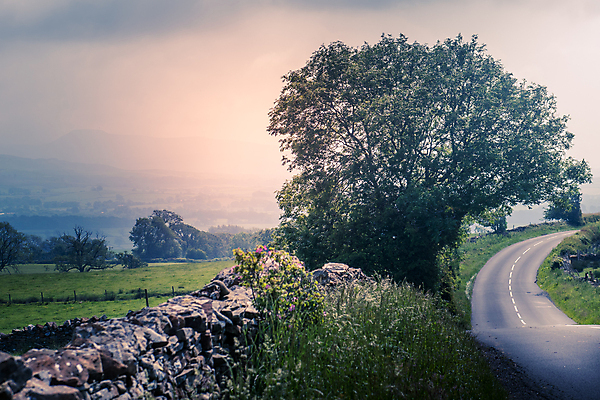 포토 JPG 해외이미지 나무 도로 길 여행 백그라운드 밭 곡선 자연 하늘 산 풍경 사람없음 여름 태양 어둠 황혼 일몰 봄 시골 아스팔트 땅 장면 굴곡 해외202008 해외포토 자연요소 식물 계절 선 농업 교통시설 노을 생태계 파일형식