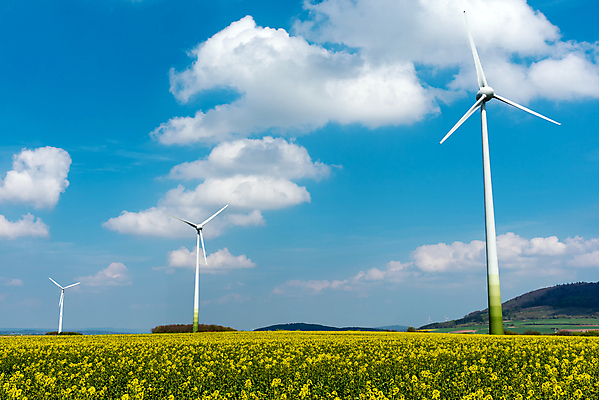 포토 JPG 해외이미지 꽃 농업 자연 바람 사람없음 농작물 글로벌 농장 노란색 환경 힘 풍차 에너지 벚꽃 바퀴 개화 오염 낟알 시리얼 엔진 유지 온실 효과 해외202008 해외포토 자연요소 식물 산업 음식 컬러 날씨 생태계 파일형식