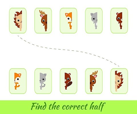 EPS 해외이미지 클립아트 동물 디자인 영어 교육 야생동물 어린이 일러스트 학교 놀이 동물원 그림자 경기 단어 컬러풀 유치원 도전 게임 퍼즐 퀴즈 플랫 만화 여우 발견 고립 비버 해외202008 해외일러스트 문자 스포츠 컬러 포유류 사람 파일형식 벡터