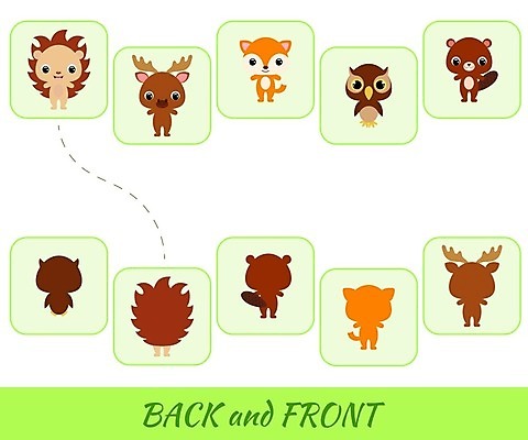 EPS 해외이미지 동물 캐릭터 디자인 교육 어린이 일러스트 학교 놀이 경기 학습 스터디 세트 컬러풀 유치원 도전 게임 쌍 퍼즐 퀴즈 비교 잡지 만화 수집 방향 여우 부엉이 발견 똑같은 비버 주목 초보 해외202008 해외일러스트 일러캐릭터 스포츠 컬러 컨셉 포유류 조류 사람 간행물 파일형식 벡터