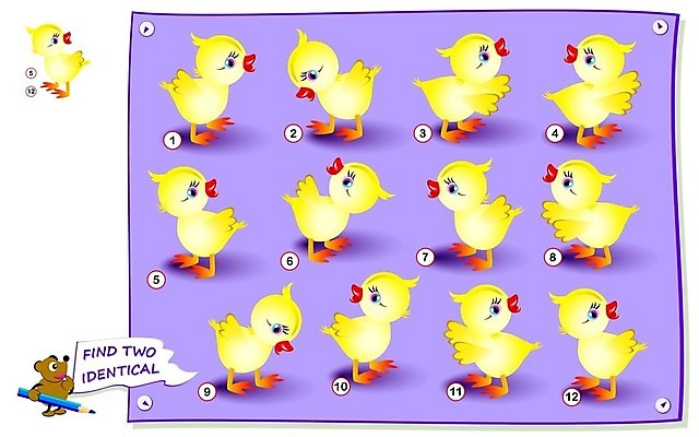EPS 해외이미지 모양 동물 교육 실루엣 종이 어린이 일러스트 학교 자연 조류 기술 책 스터디 장난감 운동 숫자 치킨 유치원 게임 아기 수학 퍼즐 인쇄 만화 신학기 교과서 그림 페이지 미로 발견 똑같은 카운트 해외202008 해외일러스트 문자 교과목 놀이 교재 촬영기법 건강 사람 학습 생태계 닭고기요리 파일형식 벡터