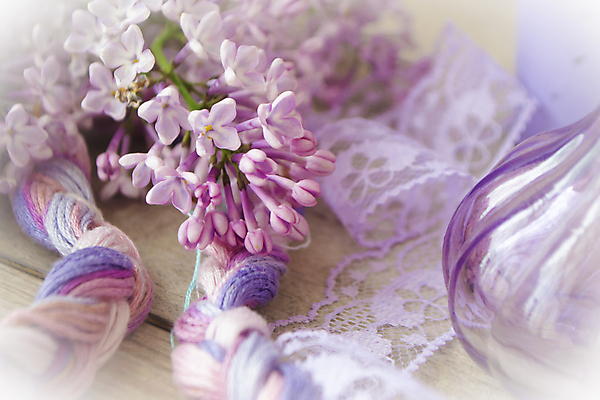 포토 JPG 해외이미지 실내 근접촬영 사람없음 라일락 해외202008 해외포토 꽃 뷰포인트 내부 파일형식