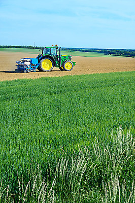 포토 JPG 해외이미지 식물 계절 밭 농업 하늘 옥수수 씨앗 풍경 사람없음 농작물 농장 기계 흙 봄 장비 수확 성장 시골 업무 농부 낟알 땅 밀 유기농 트랙터 밭일 심기 줄서기 세련 해외202008 해외포토 직업 웰빙 산업 모션 곡류 작업 농기계 특수차량 파일형식