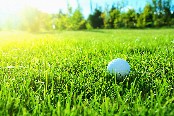 포토 JPG 해외이미지 나무 스포츠 장갑 골프 가방 공 하늘 골프공 사람없음 야외 힘 일몰 장비 깃발 구멍 운전사 골퍼 닫기 강의 집중 묘사 골프티 제어 페어웨이 해외202008 해외포토 식물 직업 잡화 컨셉 모션 운동선수 골프용품 구기 노을 파일형식