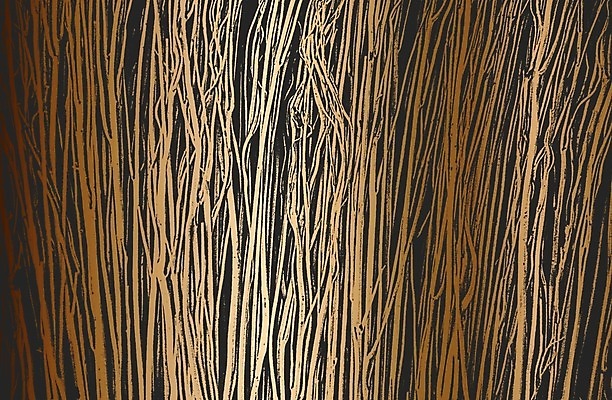 EPS 해외이미지 나무 디자인 선 백그라운드 패턴 일러스트 자연 벽지 표면 날씨 추상 미술 목재 장식 검은색 줄무늬 고통 수확 시골 거친 황금 숲 낟알 천 묘사 고민 질감 복고 덮기 포도나무 잡동사니 내추럴 그런지 수목 엘리먼트 해외202008 해외일러스트 식물 감정 컬러 무늬 농업 재료 모션 문화예술 직물 과일나무 생태계 파일형식 벡터