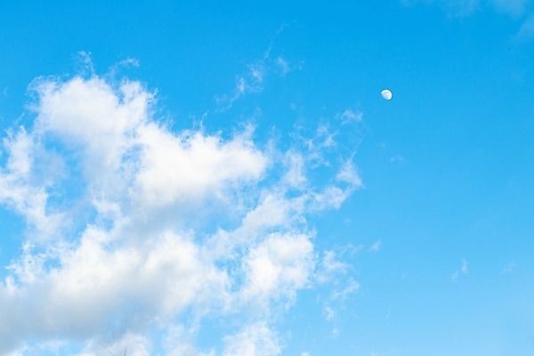 포토 JPG 해외이미지 구름 백그라운드 패턴 자연 하늘 아침 바람 날씨 풍경 사람없음 야외 가로 여름 파란색 빛 햇빛 우주 환경 활발 자유 흰색 물방울 전원 오픈 투명 순수 장면 천국 솜털 스카이라인 오존 천창 수평선 카피스페이스 부족함 해외202008 해외포토 주간 자연요소 계절 컬러 컨셉 무늬 태양 공백 전기에너지 생태계 파일형식