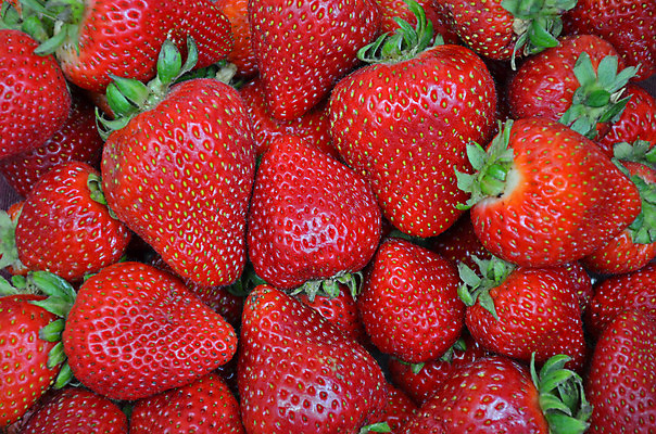 포토 JPG 해외이미지 딸기 사람없음 가득함 해외202008 해외포토 과일 파일형식