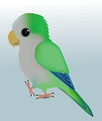 EPS 해외이미지 동물 야생동물 날개 일러스트 조류 초록색 파란색 반려동물 회색 만화 호루라기 승려 스마트 깃털 부리 앵무새 코믹 시끄러움 식민지 잉꼬 지능 해외202008 해외일러스트 컬러 컨셉 성직자 파일형식 벡터