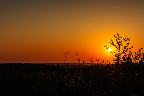 포토 JPG 해외이미지 계절 여행 백그라운드 오렌지 자연 하늘 아침 풍경 사람없음 야외 여름 빛 컬러풀 햇빛 태양 노란색 평화 일출 환경 맑음 일몰 봄 자유 시골 저녁 장면 천국 수평선 해외202008 해외포토 주간 자연요소 컬러 컨셉 과일 날씨 노을 야간 생태계 파일형식