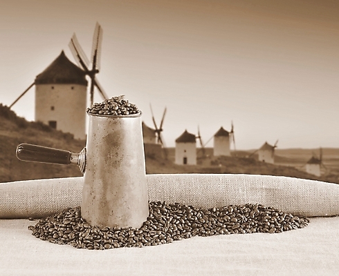 포토 JPG 해외이미지 사람없음 카페 아로마 해외202008 해외포토 상점 파일형식