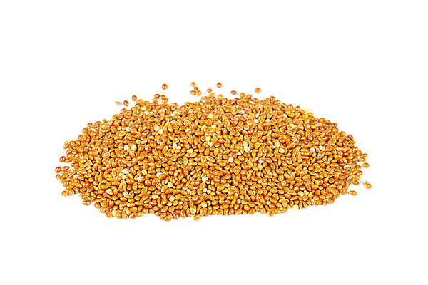 포토 JPG 해외이미지 음식 백그라운드 오렌지 재료 건조 건강 씨앗 사람없음 농작물 갈색 노란색 쌓기 흰색 낟알 시리얼 유기농 날것 공포 광택 흙더미 고립 생식 수수 채식주의자 많음 해외202008 해외포토 식물 웰빙 컬러 컨셉 농업 과일 모션 흙 채식 파일형식 더미