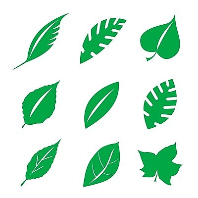 EPS 해외이미지 식물 공원 줄기 잎 밭 채소 일러스트 자연 잔디 초원 초록색 여름 농장 쌓기 새싹 환경 정원 봄 성장 나뭇가지 시골 신선 막대기 다발 허브 심볼 사인 에코 유기농 내추럴 모종 생태학 절정 해외202008 해외일러스트 나무 웰빙 계절 공공시설 교육 컬러 농업 모션 생태계 파일형식 벡터