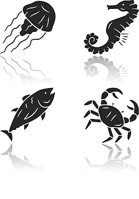 EPS 해외이미지 클립아트 동물 디자인 야생동물 음식 바다 컨셉 일러스트 자연 생물 연체동물 그림자 어류 세트 픽토그램 반사 식당 검은색 바닷속 수중 수영 웹 카페 게 떨어짐 참치 심볼 해산물 메뉴 팩 수족관 고립 동물상 상형문자 주민 항목 해외202008 해외일러스트 문자 컬러 인터넷 무척추동물 갑각류 조형물 상점 수중동물 화장품 수상스포츠 생태계 파일형식 벡터