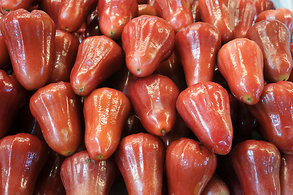 포토 JPG 해외이미지 나무 아시아 음식 분홍색 조각 백그라운드 잎 다이어트 채소 과일 재료 태국 건강 사랑 동양인 사람없음 장식 빨간색 물 장미 바구니 주스 종 흰색 신선 그룹 닫기 달콤 맛 사과 먹기 유기농 날것 흙더미 고립 숙성 이국적 맛있는 해외202008 해외포토 자연요소 식물 웰빙 꽃 감정 나라 음료 컬러 컨셉 모션 인종 흙 파일형식 더미