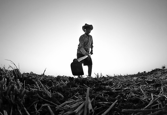 포토 JPG 해외이미지 식물 라이프스타일 손 남자 실루엣 백그라운드 밭 농업 비즈니스 자연 노동자 그림자 한명 사람 풍경 야외 태양 농장 농경지 일출 금속 정원 일몰 장비 탐험 성장 시골 업무 농부 저녁 삽 유기농 원예 적재 땅파기 옛날 조작 해외202008 해외포토 자연요소 직업 1 웰빙 산업 재질 촬영기법 취미 생활 신체부위 노을 작업 야간 생태계 파일형식