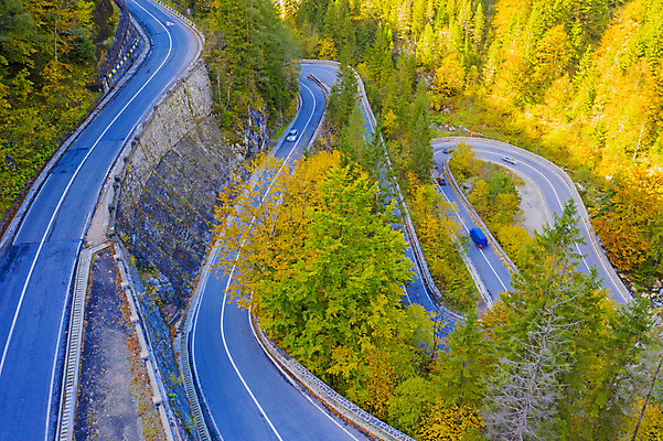 포토 JPG 해외이미지 나무 도로 길 여행 백그라운드 곡선 교통시설 자연 벽지 산 안테나 파노라마 풍경 사람없음 야외 초록색 가을 시골 소나무 뱀 숲 아스팔트 루마니아 내추럴 굴곡 전국 조감도 해외202008 해외포토 식물 계절 유럽 선 컬러 교통 통신 파충류 촬영기법 시설 생태계 파일형식