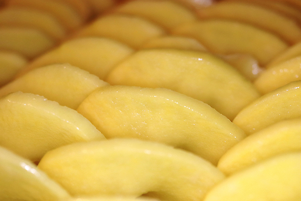 포토 JPG 해외이미지 조각 감자 나선형 사람없음 고리 두루마리 날것 첨탑 다진 개조 해외202008 해외포토 무늬 채소 탑 파일형식