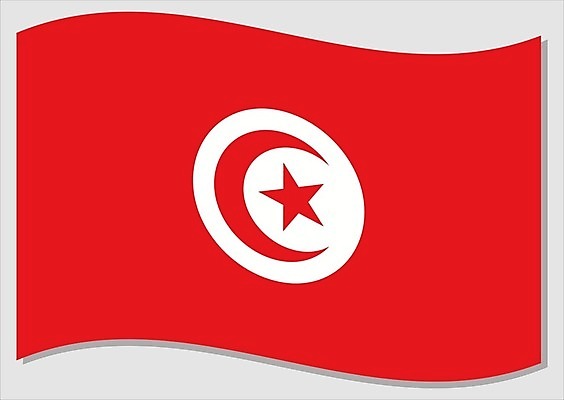 EPS 해외이미지 전통 디자인 배너 별 문화 물결 여행 일러스트 바람 그래픽 빨간색 자유 달 흰색 깃발 역사 심볼 사인 웨이브 애국심 독립 잔물결 전국 정부 지리 튀니지 해외202008 해외일러스트 자연요소 컬러 컨셉 아프리카 날씨 파일형식 벡터