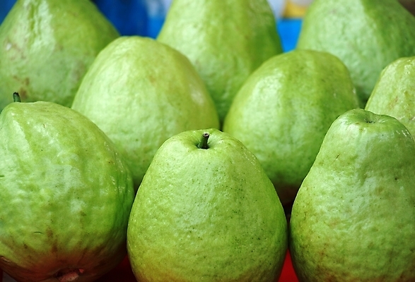 포토 JPG 해외이미지 줄기 농업 과일 건강 사람없음 초록색 껍질 신선 시장 해외202008 해외포토 식물 산업 컬러 파일형식