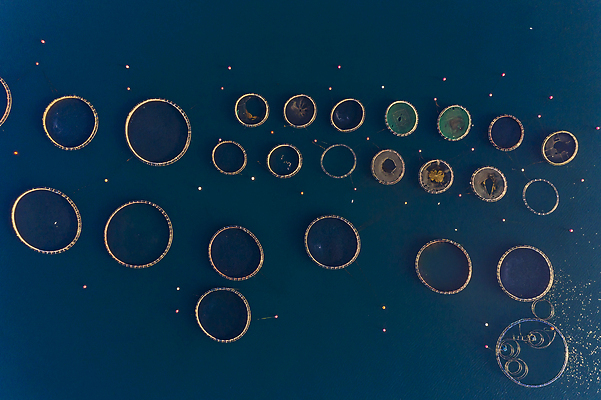 포토 JPG 해외이미지 식물 유럽 산업 음식 파도 바다 농업 비즈니스 자연 낚시 안테나 어류 사람없음 물 파란색 농장 환경 성장 신선 잡기 만 원형 그물 해산물 그리스 상업 연어 새장 어장 망사 내추럴 개발 드론 밭일 해외202008 해외포토 자연요소 도형 나라 컬러 통신 모션 레저 수중동물 직물 생태계 케이지 파일형식