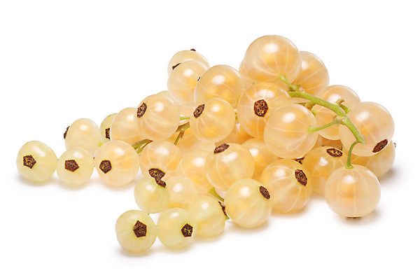 포토 JPG 해외이미지 디자인 열매 음식 사람없음 흰색 달콤 다발 건포도 고립 해외202008 해외포토 식물 컬러 포도 맛 건과일 파일형식