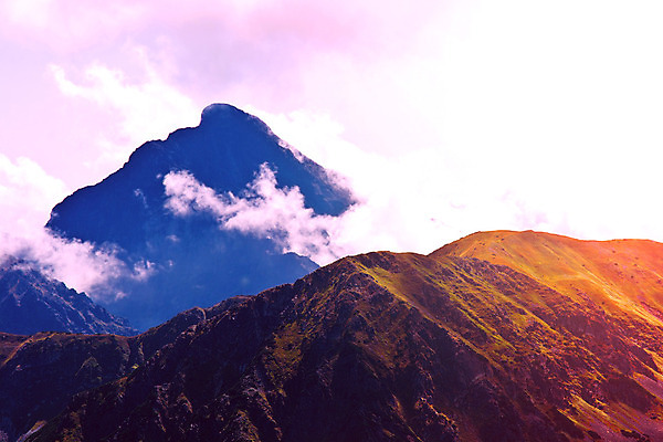 포토 JPG 해외이미지 나무 식물 구름 공원 길 여행 잎 오렌지 자연 하늘 아침 산 풍경 사람없음 야외 초록색 물 여름 파란색 빛 강 노란색 평화 환경 어둠 일몰 새벽 안개 달 가을 바위 황무지 황금 저녁 숲 산등성이 내추럴 뿌연 서쪽 해외202008 해외포토 주간 자연요소 계절 공공시설 컬러 컨셉 과일 날씨 노을 돌_바위 야간 방향 생태계 파일형식