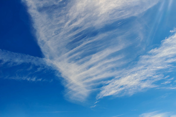 포토 JPG 해외이미지 구름 계절 하늘색 백그라운드 패턴 자연 하늘 아침 날씨 추상 휴식 사람없음 야외 가로 여름 파란색 햇빛 봄 활발 자유 가을 흰색 전원 분위기 순수 파란배경 자연백그라운드 부드러움 천국 솜털 흐림 오존 수평선 완전 부족함 해외202008 해외포토 주간 자연요소 컬러 컨셉 무늬 태양 감각 전기에너지 생태계 파일형식