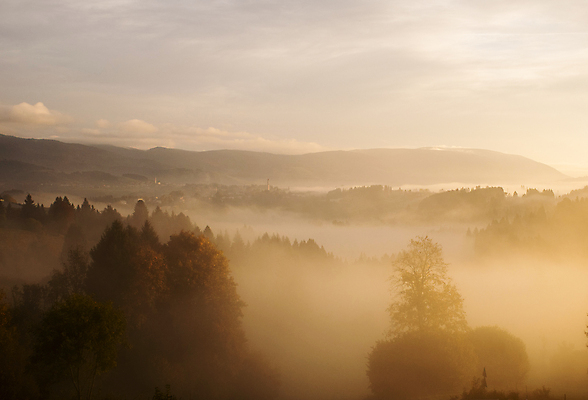 포토 JPG 해외이미지 유럽 자연 날씨 산 흑백 사랑 풍경 초원 사람없음 평화 일출 계곡 어둠 화목 침묵 고요 이탈리아 새벽 할로윈 회색 젖음 촉촉함 안개 가을 잠 수분 신비 11월 명상 상승 알프스 부드러움 10월 뿌연 통일 해외202008 해외포토 자연요소 계절 감정 나라 컬러 컨셉 촬영기법 노을 소리 감각 날짜 생태계 파일형식