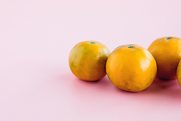 포토 JPG 해외이미지 식물 음료 음식 백그라운드 잎 농업 다이어트 오렌지 과일 재료 자연 디저트 귤 건강 사람없음 바구니 정원 주스 수확 껍질 신선 원형 그룹 시장 달콤 맛 상품 먹기 피부 상쾌 유기농 날것 섬유 내추럴 숙성 채식주의자 맛있는 해외202008 해외포토 도형 웰빙 감정 산업 컨셉 모션 신체부위 직물 생태계 채식 파일형식